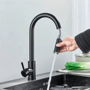 Torneira cozinha DuoFlex Preto Carpetino