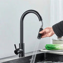 Torneira cozinha DuoFlex Preto Carpetino