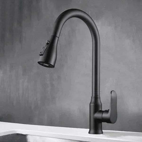 Torneira cozinha DuoFlex Preto Carpetino