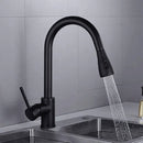 Torneira cozinha DuoFlex Preto Carpetino