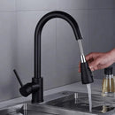 Torneira cozinha DuoFlex Preto Carpetino
