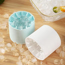 Forma de Gelo de Silicone Carpetino