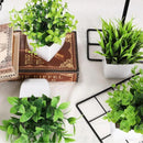 Vasos Plantas Artificiais Decoração Carpetino