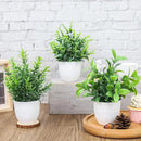 Vasos Plantas Artificiais Decoração Carpetino