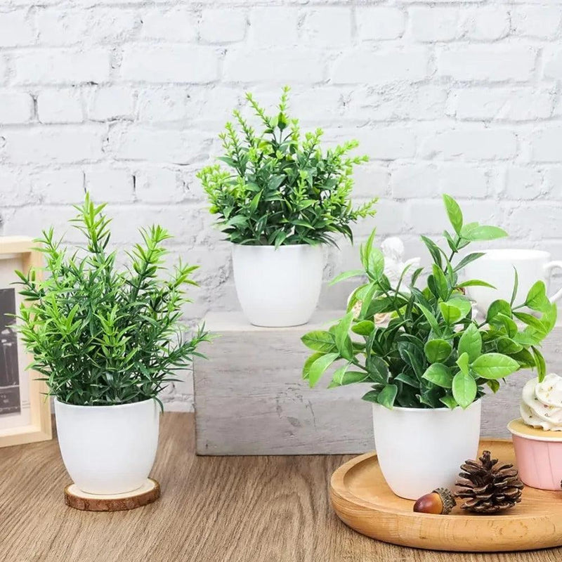 Vasos Plantas Artificiais Decoração Carpetino