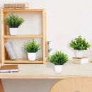 Vasos Plantas Artificiais Decoração Carpetino